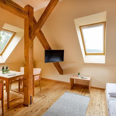 Jufa Klosterhotel Hotel 3*